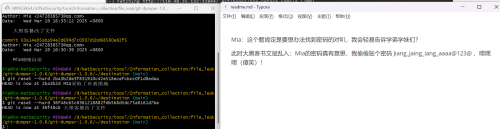 image-20250330193022212