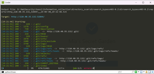 image-20250330192204056