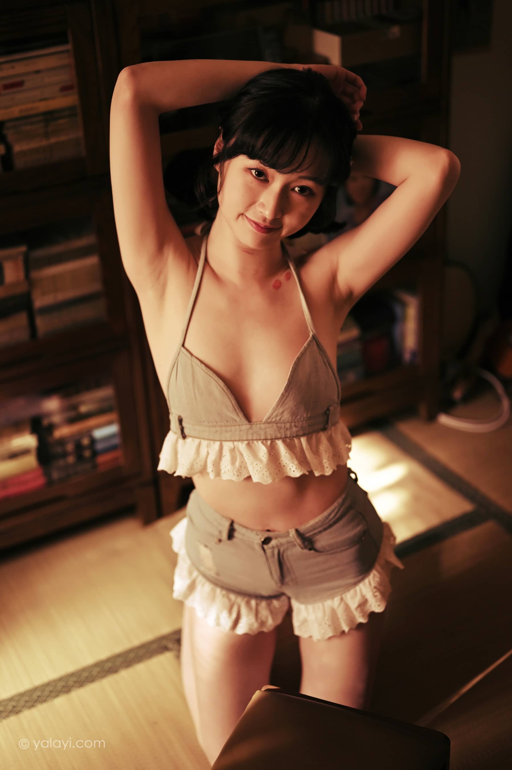 新半藏深林
