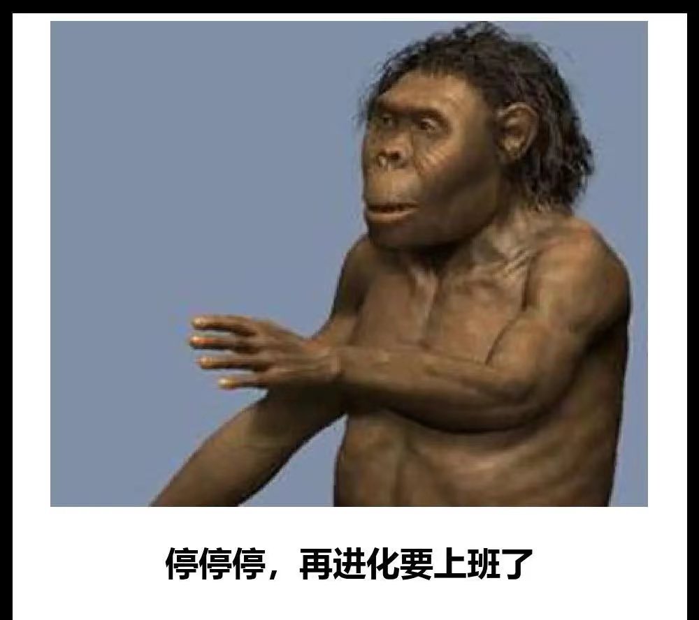 sTOT9.jpeg