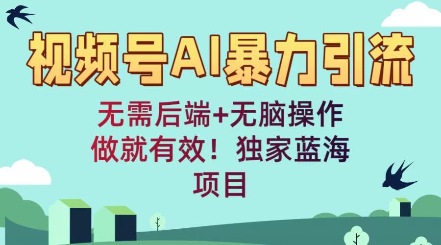 视频号AI：无需后端+无脑操作，做就有效！独家蓝海项目