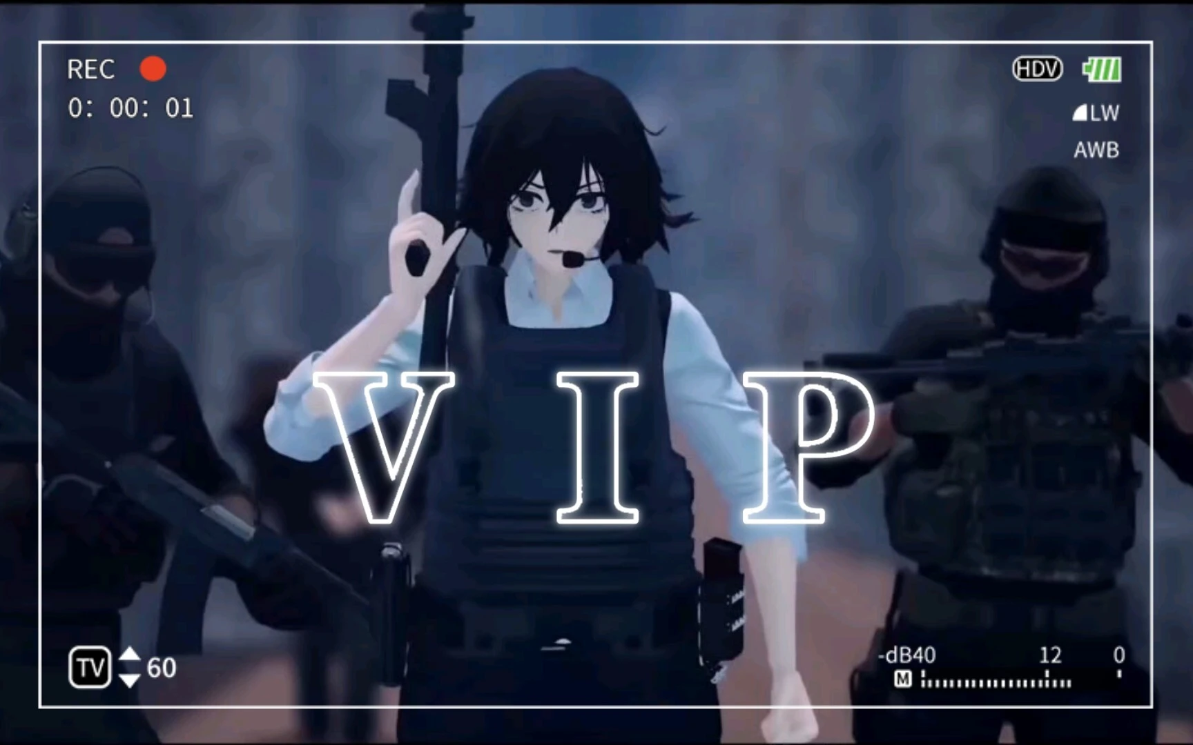 vip