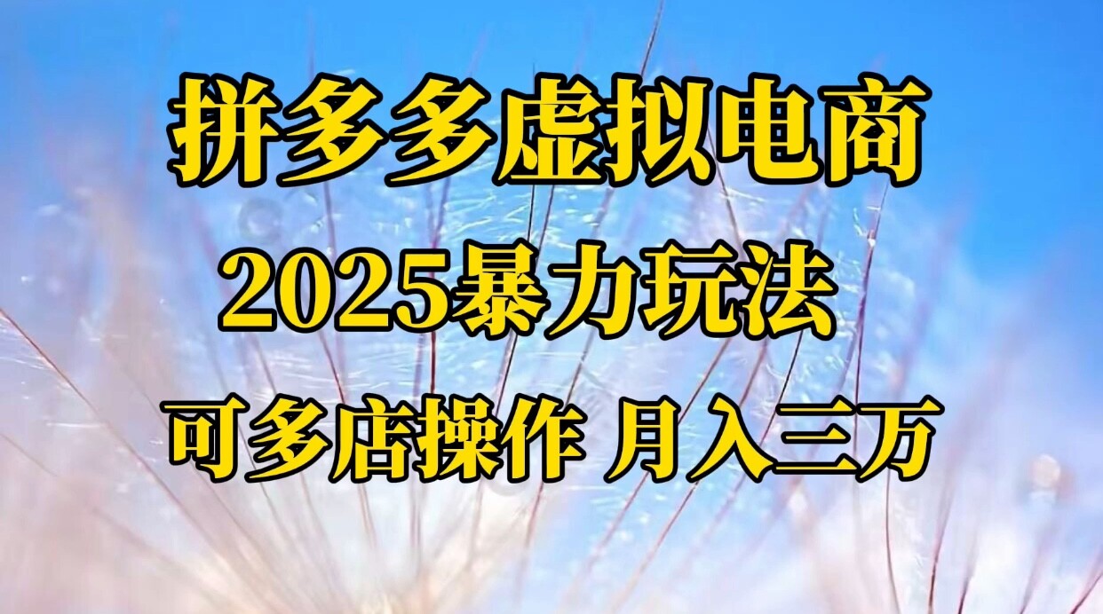 pdd虚拟电商，不囤货不的虚拟电商