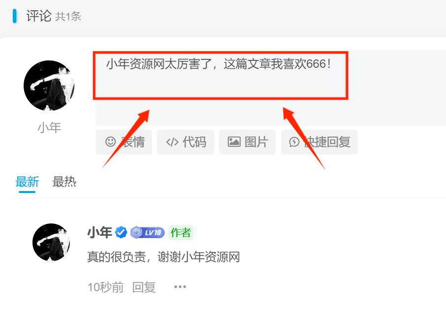 子比主题 – 评论区自动输入随机API评论功能-小年资源网
