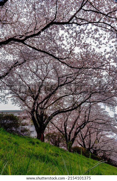 Featured image of post CISO必备的10个关键安全指标