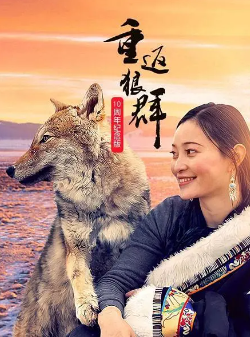 【高分纪录片】重返狼群 10周年特别纪念版 更新12集（2021）4K HQ 高码率