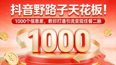 野路子天花板！1000 个信息差，教你打通任督二脉-阿甘项目库