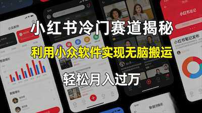 小某书冷门赛道揭秘,利用小众软件-阿甘项目库