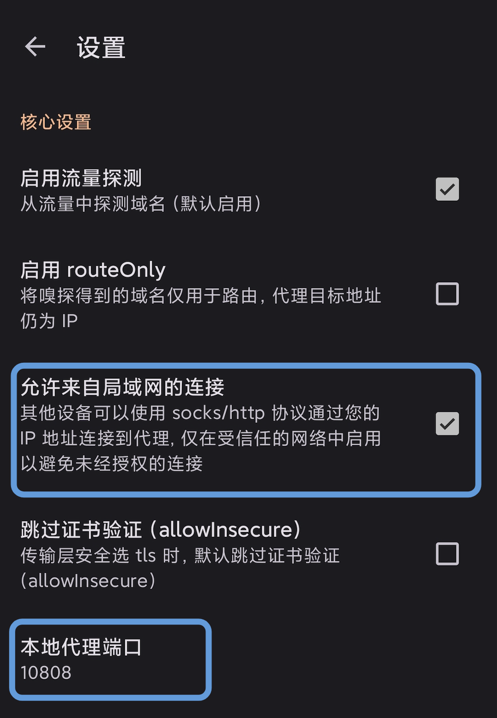 v2rayNG 设置界面截图