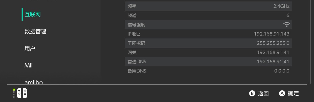 Switch 查看首选 DNS 截图