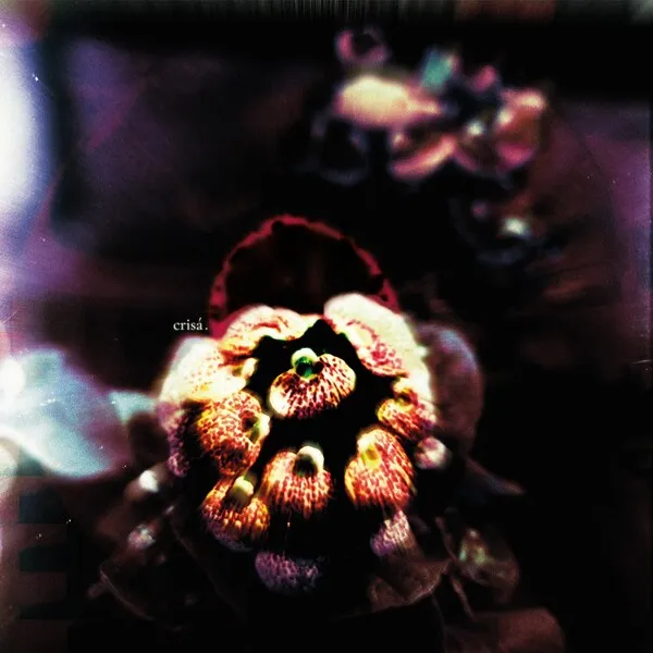 谈谈《上伊那》OP动画作为音乐图像的风格来源