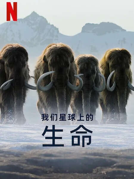 我们星球上的生命