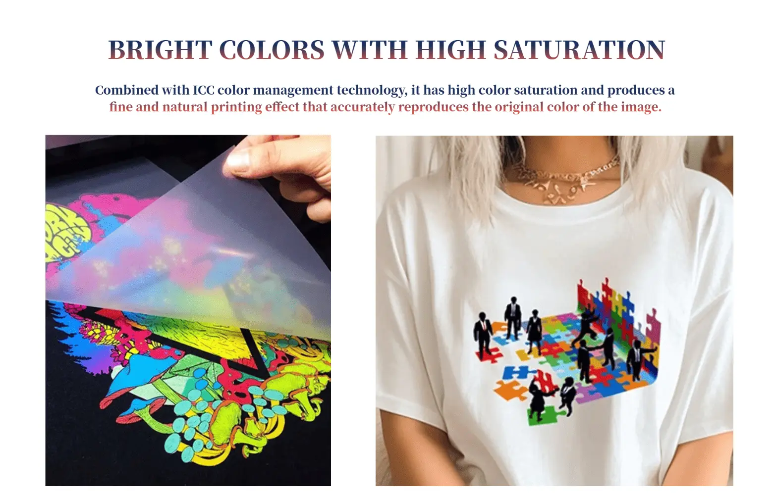 L8058 A4 DTF printer printing pet film sample