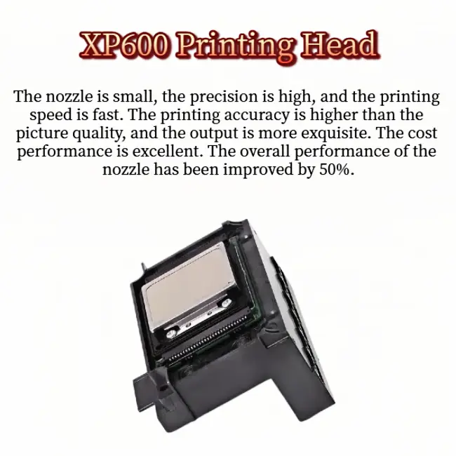 Versatile DTG Garment Printer for Light & Dark Fabric Printing