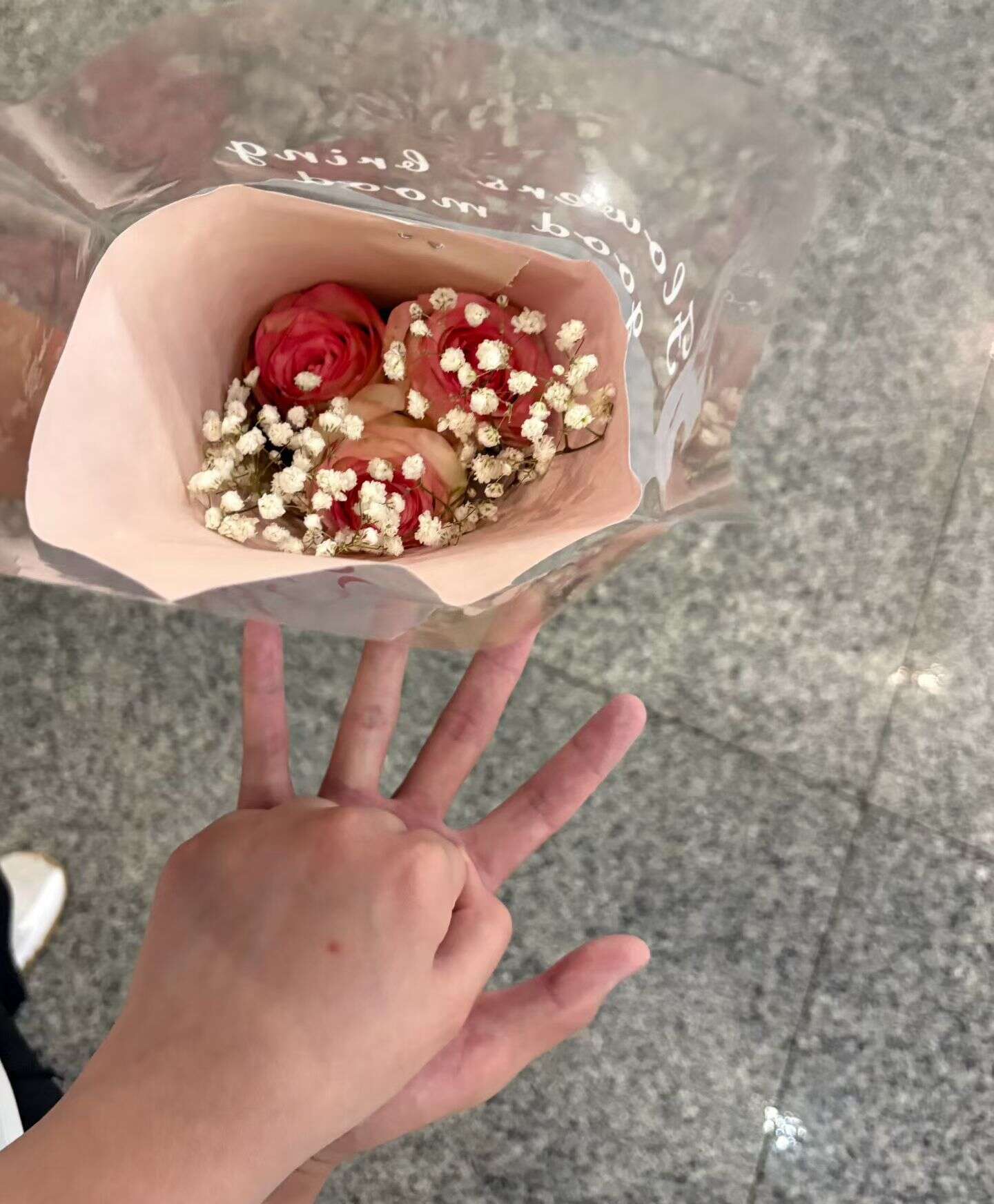 我们的合照