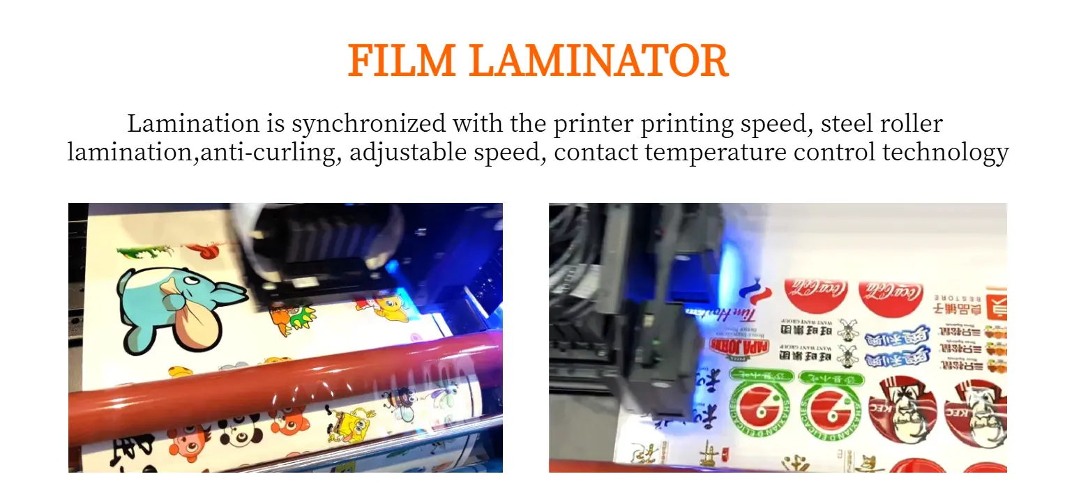 XP600 UV DTF printer RIP software color management interface