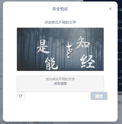 人机验证demo图片